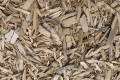 biomass boilers Parciau